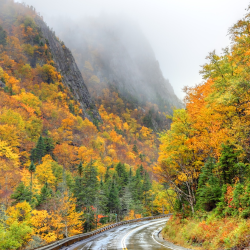 new hampshire